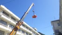 RIMG3117
