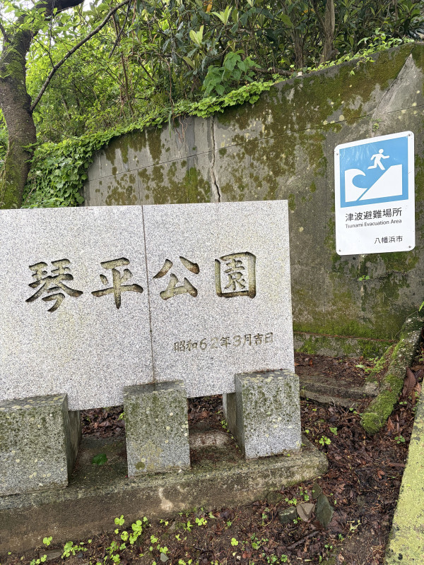 琴平公園