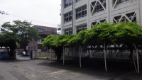 RIMG3585