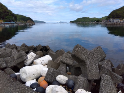 海洋ごみ２
